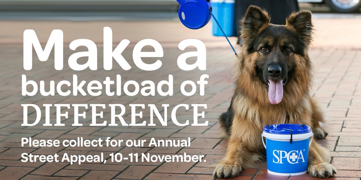 We are in need of collectors for our 2017 street appeal on Friday 10th and Saturday 11th November. Sign up today! ow.ly/7KKg30eLSwA