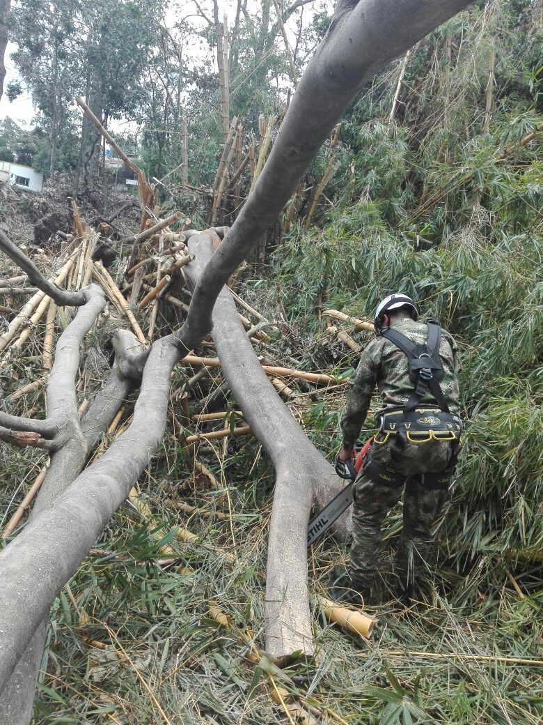 DannyRamirezro's tweet photo. Muchas Gracias #HeroesMultimision #Bical y #Baspc5 por el gran trabajo de recolección de escombros y limpieza, luego de las fuertes lluvias https://t.co/gFPPOVtJHx
