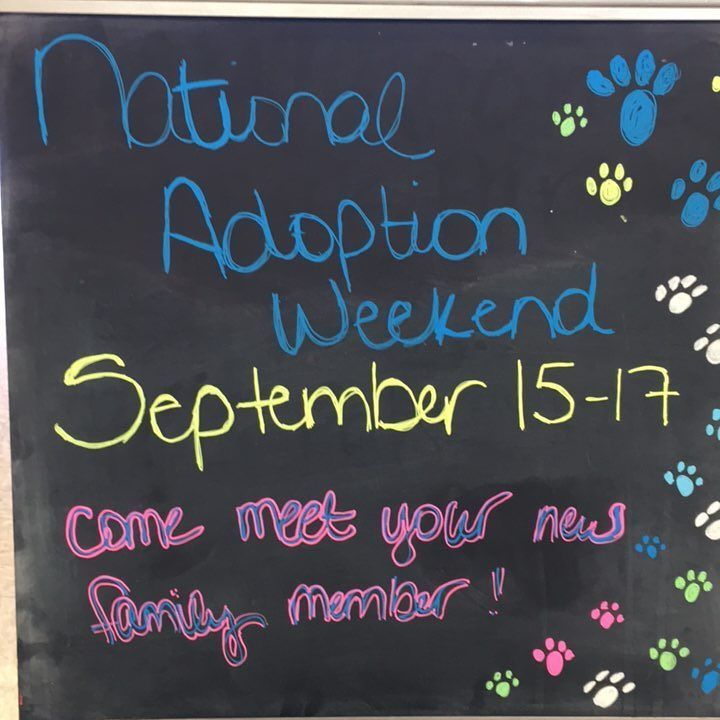 Petsmart1319's tweet photo. #nationaladoptionweekend #petsmart #adoptdontshop https://t.co/ruC5W05ANt