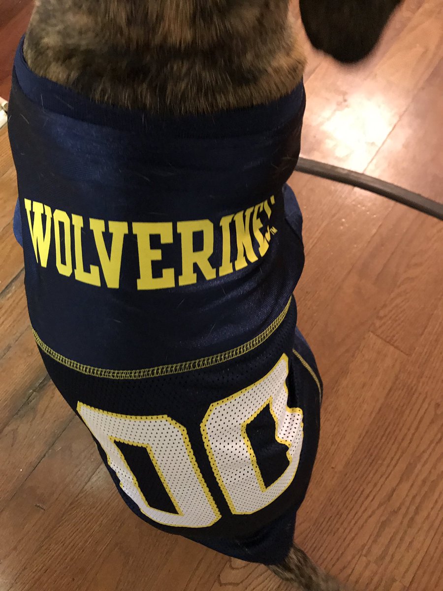 Come on <a href="/CreeklandMS/">Creekland Middle</a> Grizzlies, if my dog can show her team spirit, you can too! Check your school mail for details! #YOTG