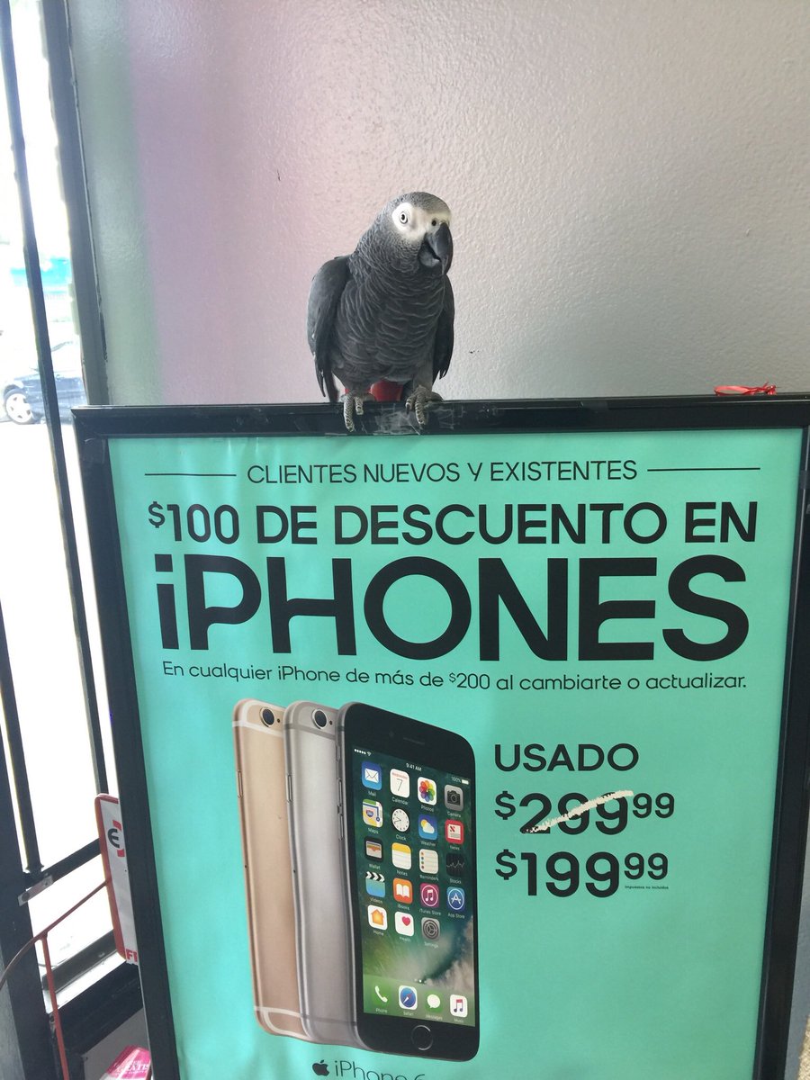 Pago Wireless tweet media