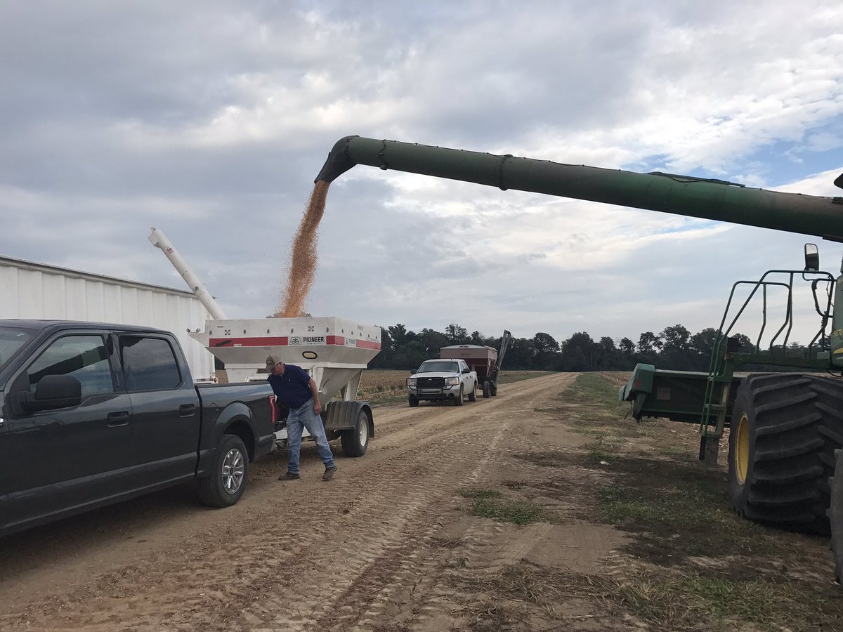 Alex Deason tweet media