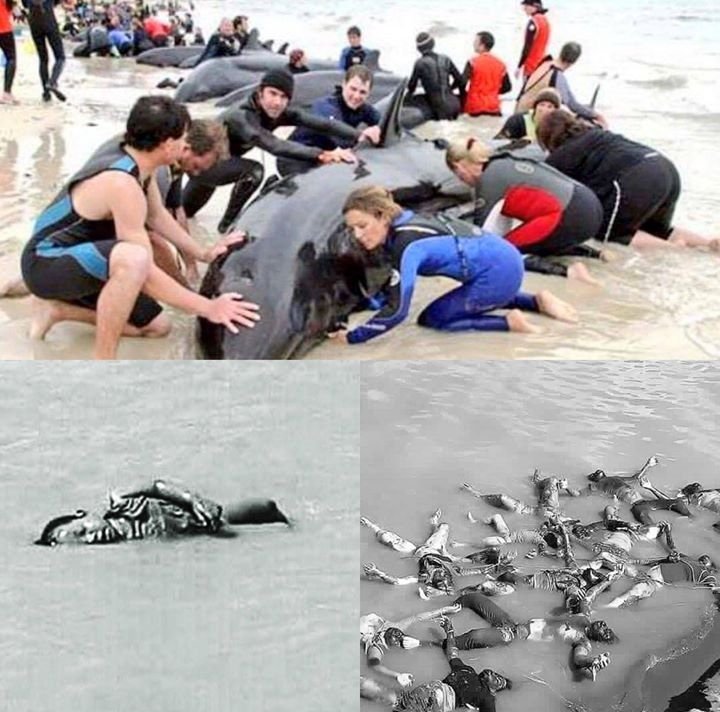 furkan mehmet (@mmurcaglayan1) on Twitter photo 