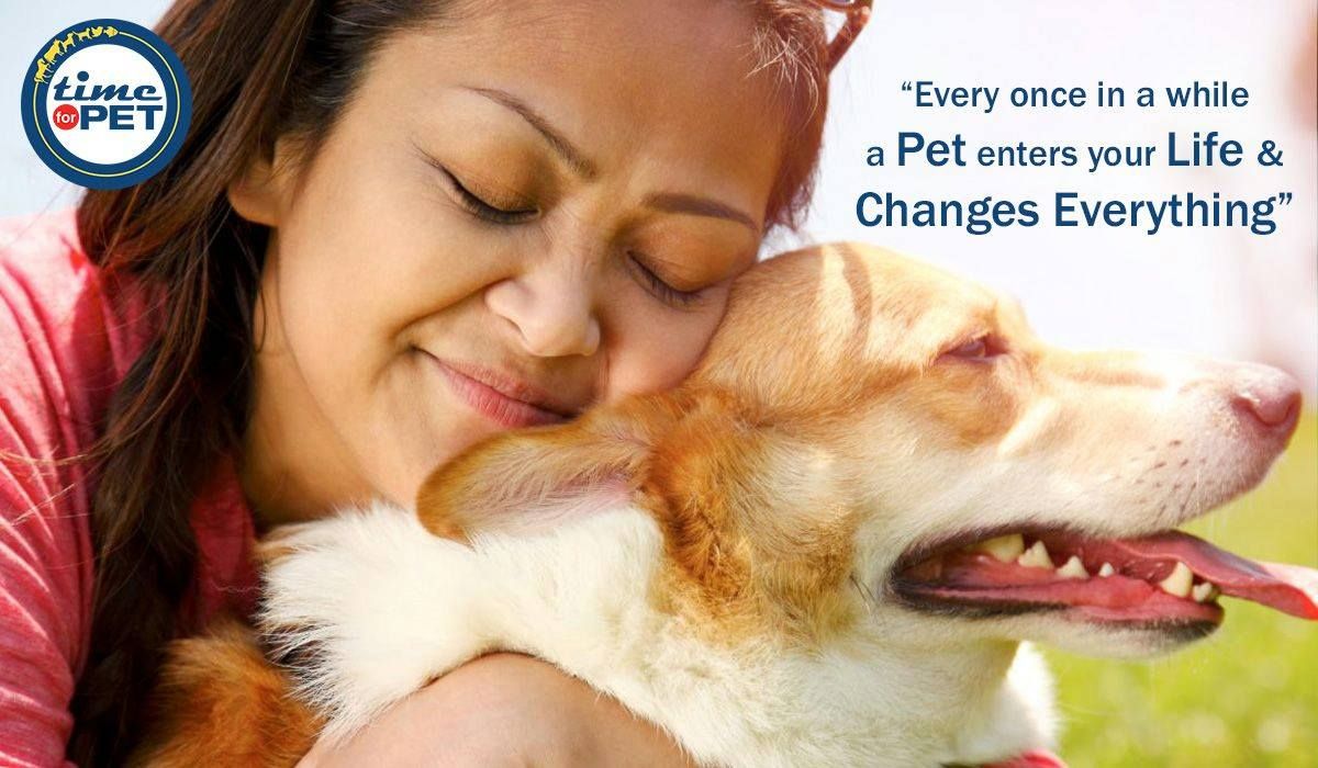 time4pet's tweet photo. "Some angels choose fur instead of wings"
#timeforpet #petlove https://t.co/RhInjxYkRZ