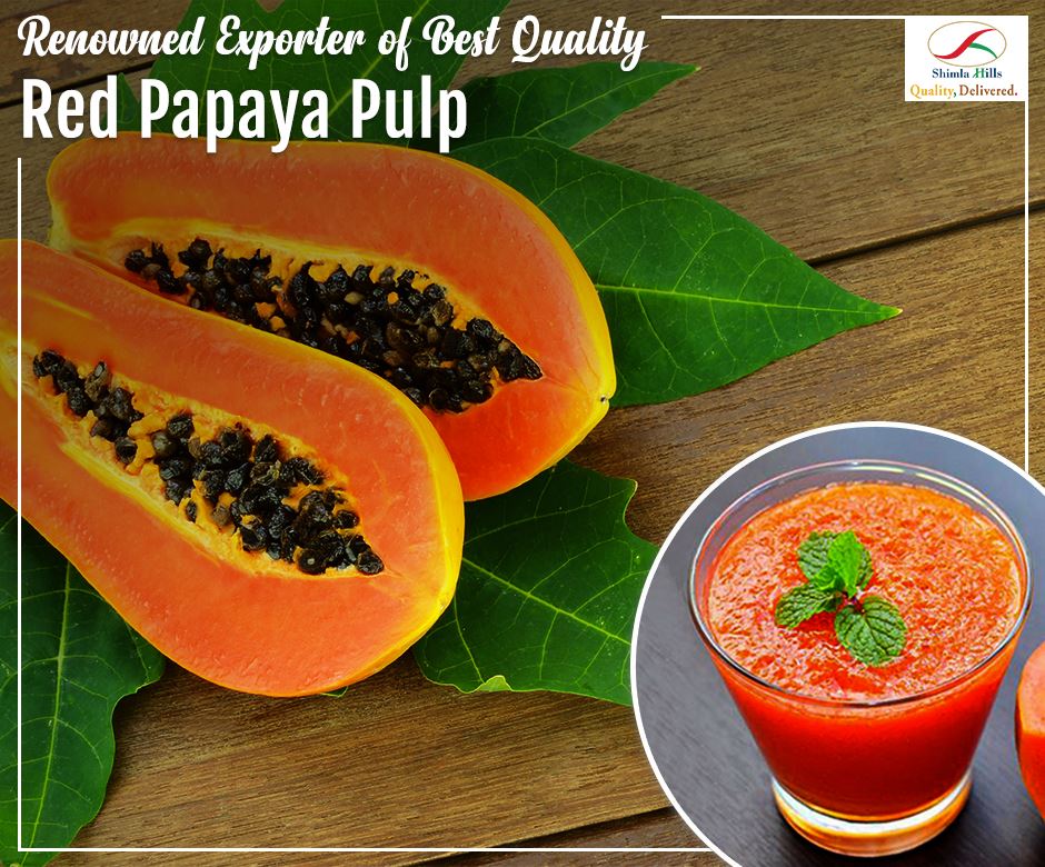Shimla_Hills's tweet photo. #ShimlaHills, a trusted #ProcessedProducts #Exporter,offers d best quality #PapayaPulp around d world.To buy, visit: https://t.co/FYItx3xlU2 https://t.co/OswrBZ7i9c
