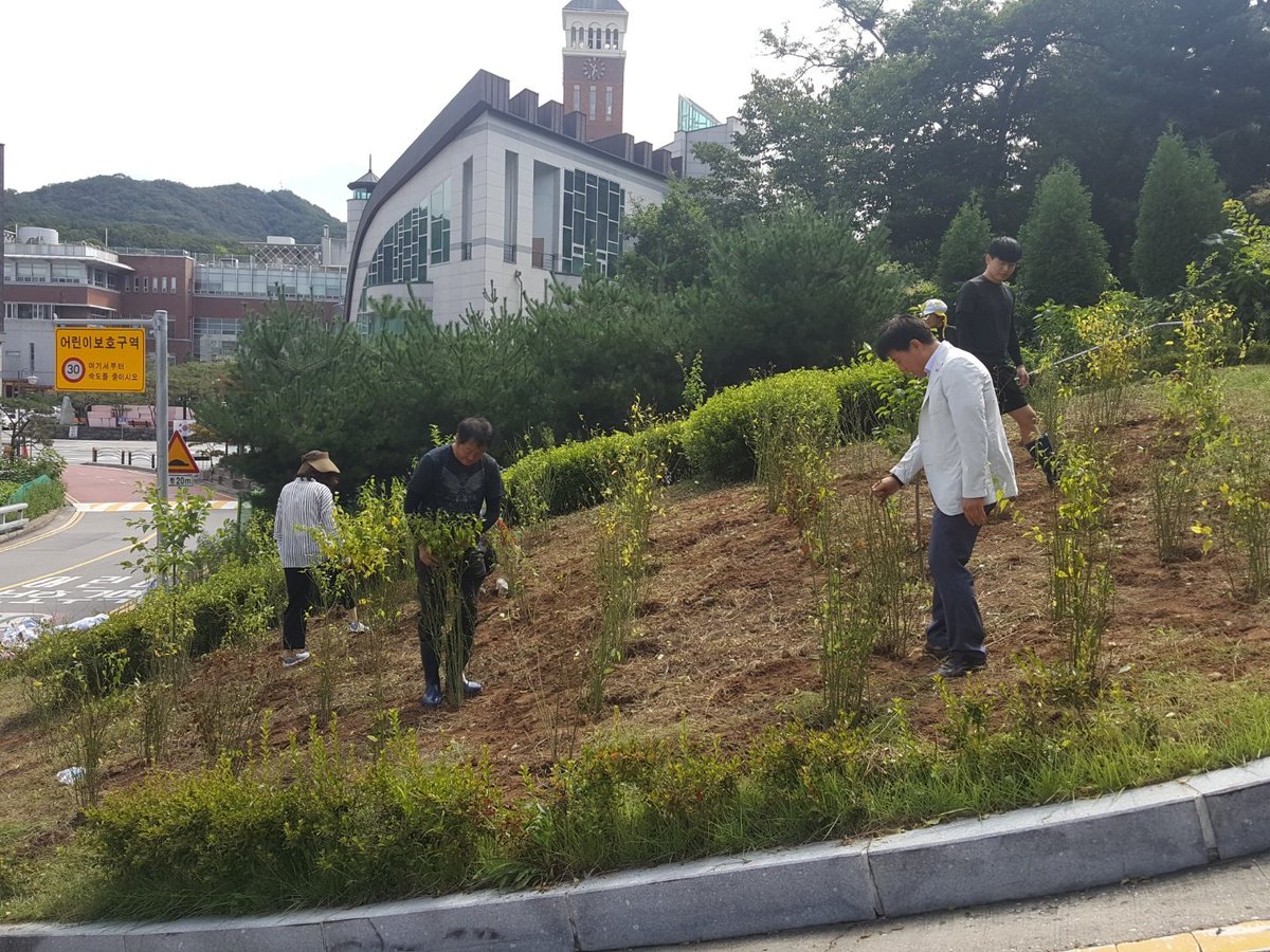 sysy1962's tweet photo. 오늘은 물레방아거리 마을 앞 탄천사이에  있는 들판을 이무술 들이라 하였는데 이 마을이 풍수지리상  매화꽃이 떨어지는 모양이라 하여 매화낙지형이라는 마을의 상징물인 매화나무 500여주를 심어 도시미관을 살리고  오고가는 다수인에게 볼거리 제공함 https://t.co/eKCyipJWJy