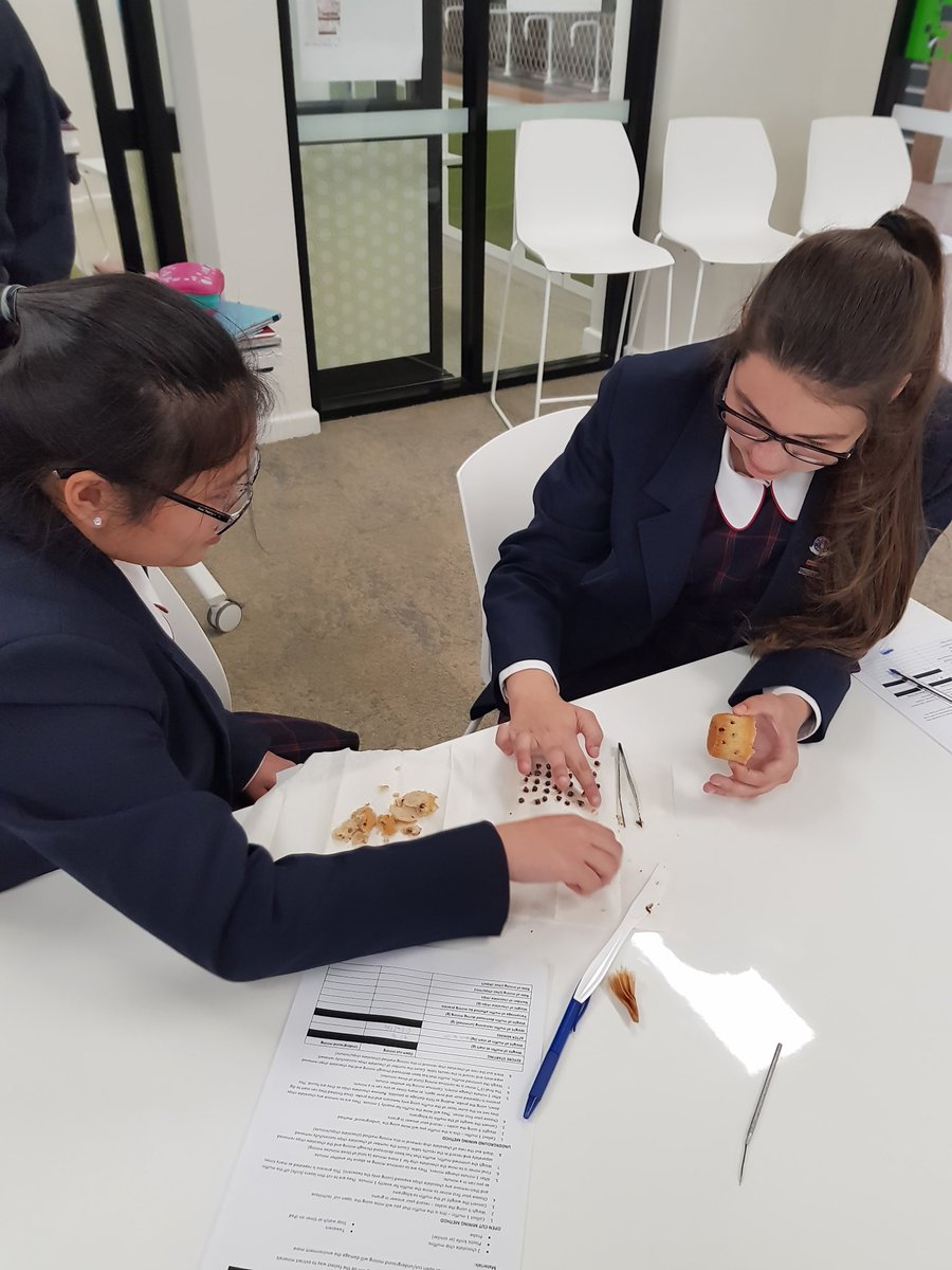 msboula88's tweet photo. Awesome team work for PBL Geo/Science Integration with yr7 @SPC_StPats #MiningSimulation using muffins #AllGirlsEducation #SaintPatsCTown https://t.co/PDHS3ePo8c