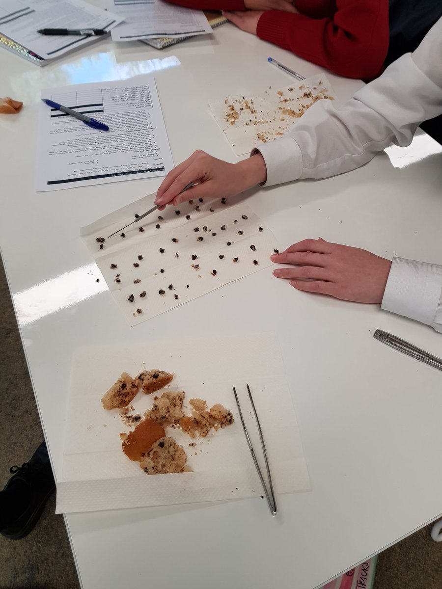 msboula88's tweet photo. Awesome team work for PBL Geo/Science Integration with yr7 @SPC_StPats #MiningSimulation using muffins #AllGirlsEducation #SaintPatsCTown https://t.co/PDHS3ePo8c