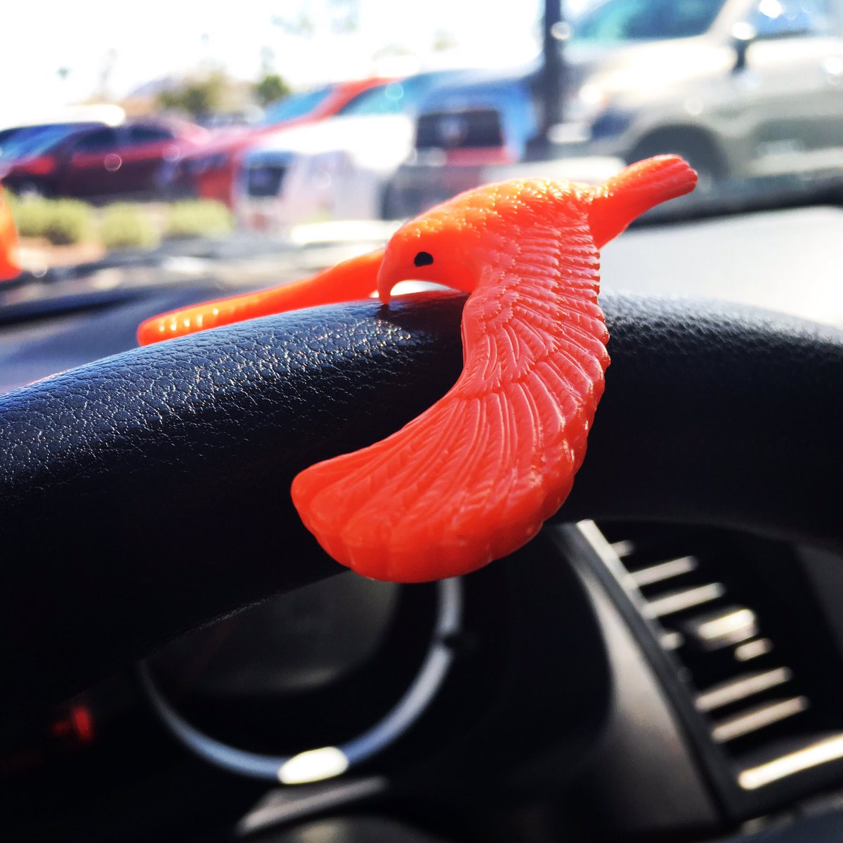 abbyrey29's tweet photo. I'm easily bored and also easily amused. #waiting #carloop #bored #redbird #balancing #momlife #mommylife #latepost https://t.co/4kcxF0IWXe