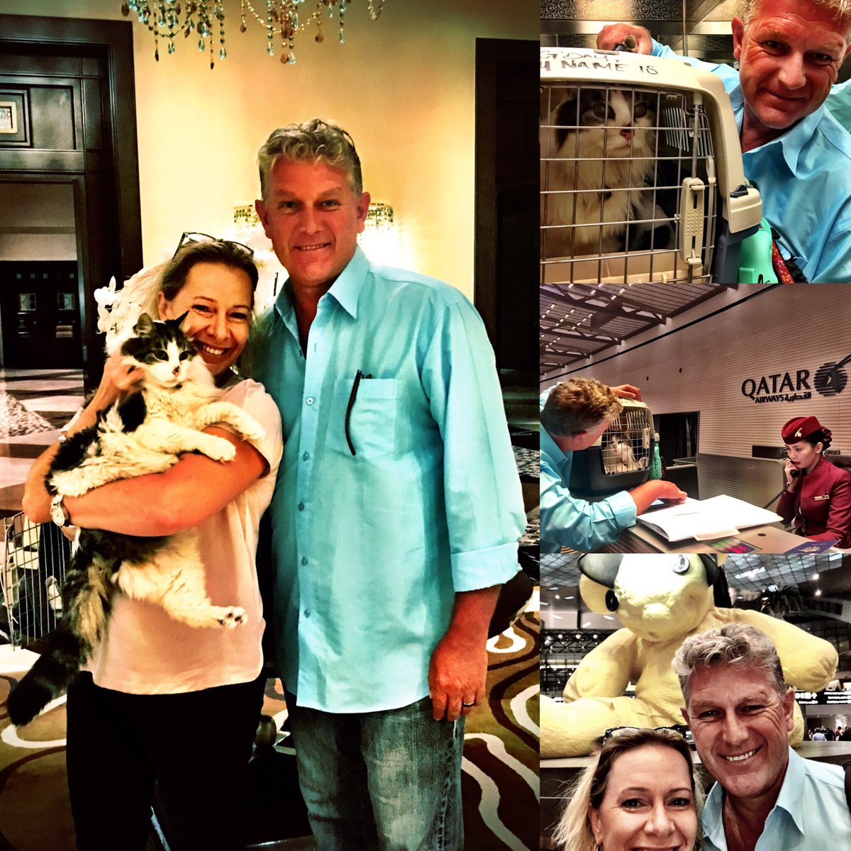 Xpat Life tweet media