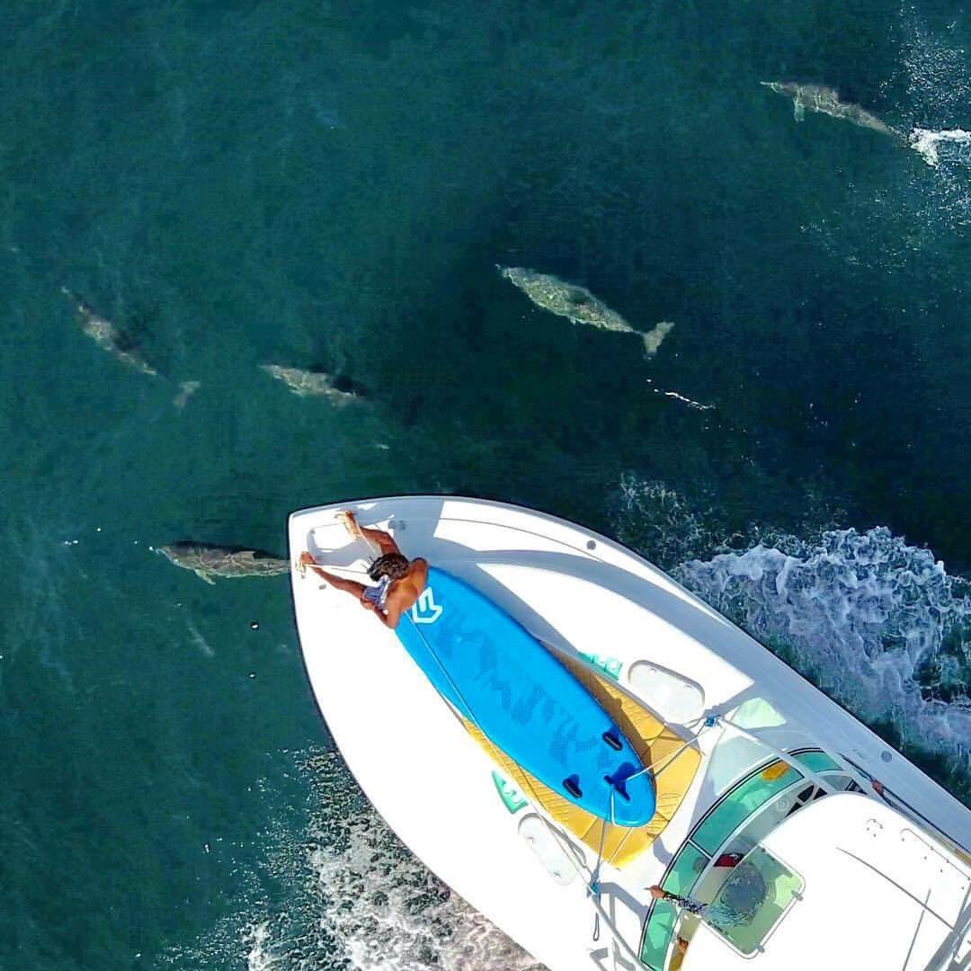 TheBrandStable's tweet photo. Cruising. #FanaticSup https://t.co/sbRYzybaSH