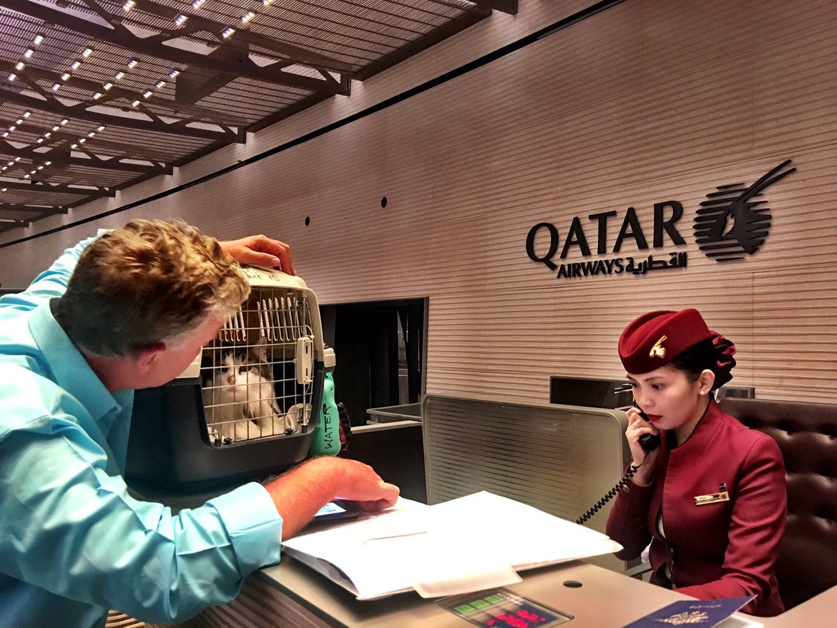 Xpat Life tweet media