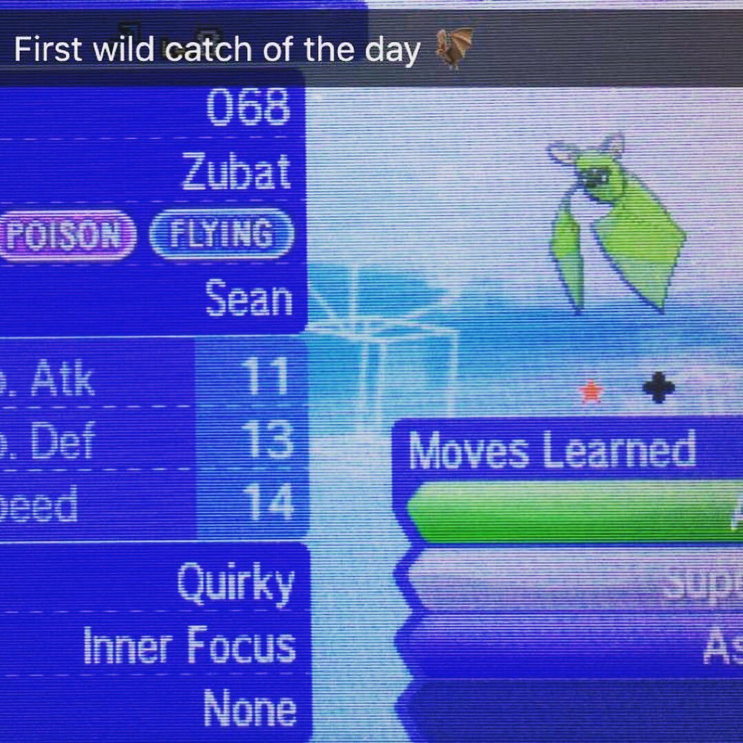 Seanatronic12x2's tweet photo. On the eve and day of when @TheNationalDex uploads a new vid, I found 4 shinys #thanksdexcast #theshinyluckisreal @FacianeA @PokeKellz https://t.co/G2dN6BeSed