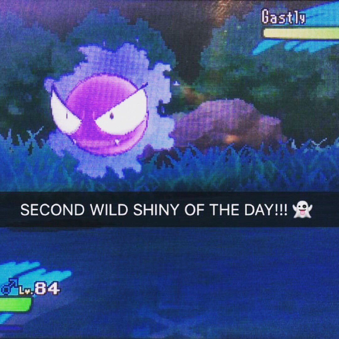 Seanatronic12x2's tweet photo. On the eve and day of when @TheNationalDex uploads a new vid, I found 4 shinys #thanksdexcast #theshinyluckisreal @FacianeA @PokeKellz https://t.co/G2dN6BeSed