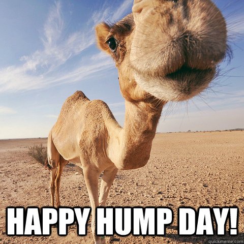 Good Morning! #HumpDay #Kleinsaterdag #ampernaweek