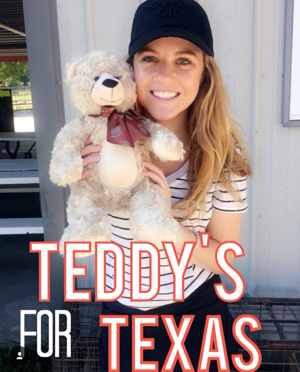 fortuityUSA's tweet photo. Stop in any of our locations and donate a teddy bear for the children affected by #HurricaneHarvey and receive 50% off one item! 💞 https://t.co/SK1bC5EtFv