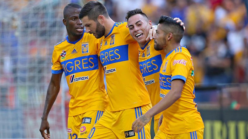 TIGRES UANL tweet media