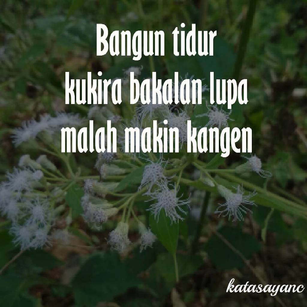 KataSayanc's tweet photo. Ah, susah amat yak. 😮

#katasayanc #dagelan #bikinrame https://t.co/pQ0N55SVQn