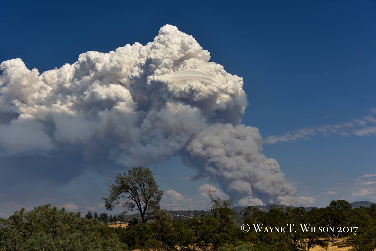 CAL_FIRE's tweet photo. #PonderosaFire [update] near Ponderosa way and Lumpkin road, (Butte Co) is now 600 acres. Evacs in progress. https://t.co/Y4FOd0qJQ9 https://t.co/241VwrisWM
