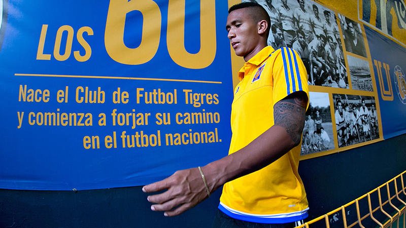 TIGRES UANL tweet media
