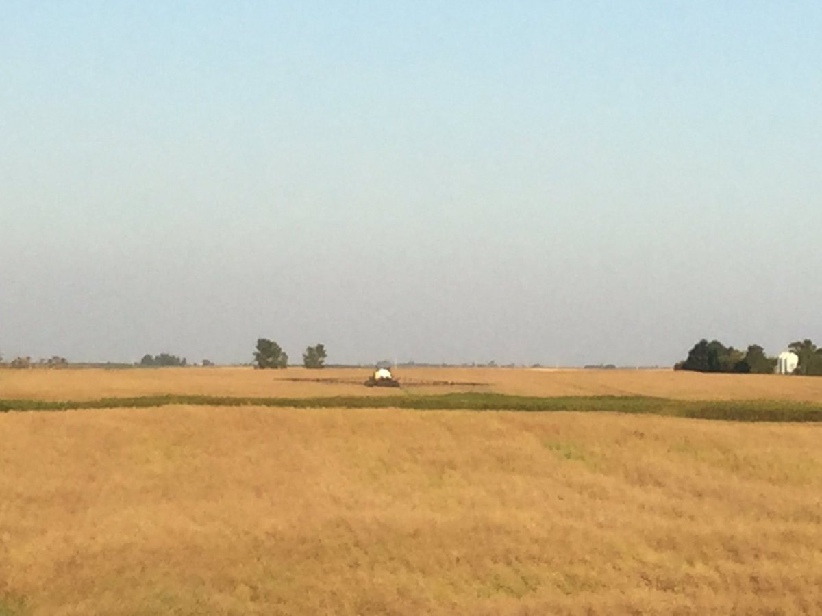 Working closely with our growers adapting+adopting is one of many rewards of what we do. Desiccating Pod shatter resistant Canola genetics