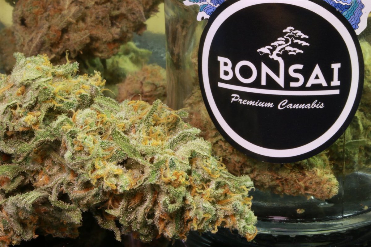 Indoor grown #GreenCrack #Purps1 #GoldenTicket and #Chemdawg flowers 🔥🔥🔥 #i502retailers DM for inventory clearance specials.