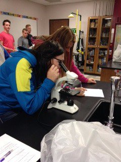 MHeimScience's tweet photo. Checking out those plant cells! #HeimCPBio2 https://t.co/iuoJzVP09I