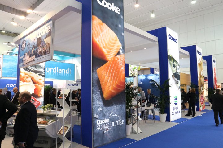 Tribe catches 20,000 Atlantic salmon as Cooke escape cleanup continues #business #news amp.gs/peHE