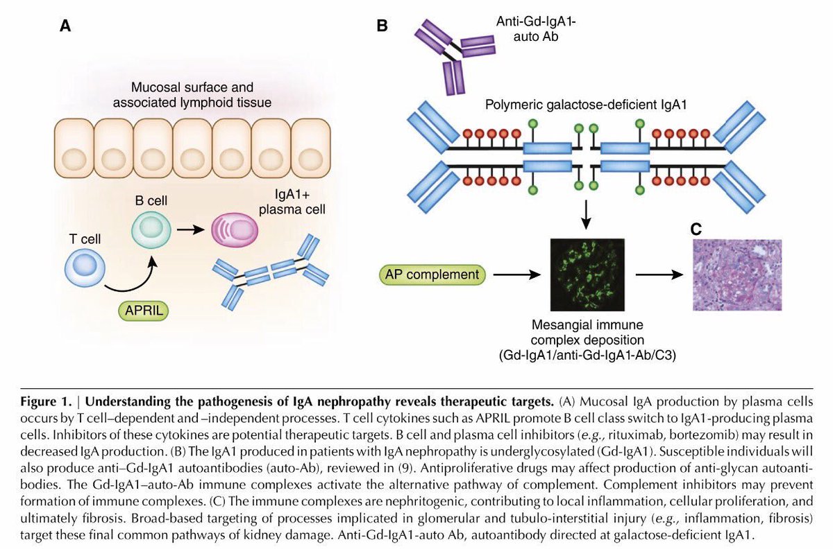 Clomid bestellen belgie