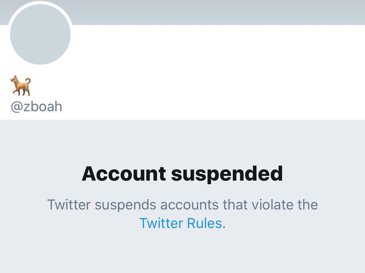 ianmiles's tweet photo. Zboah got suspended. Where am I going to get my cute dog videos from now? WTF Twitter. https://t.co/KTMKXKDPGH