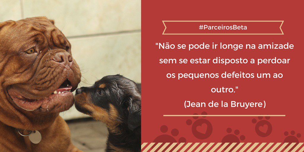 LuisCSergio2's tweet photo. #ParceirosBeta https://t.co/oiyn7kSxhN