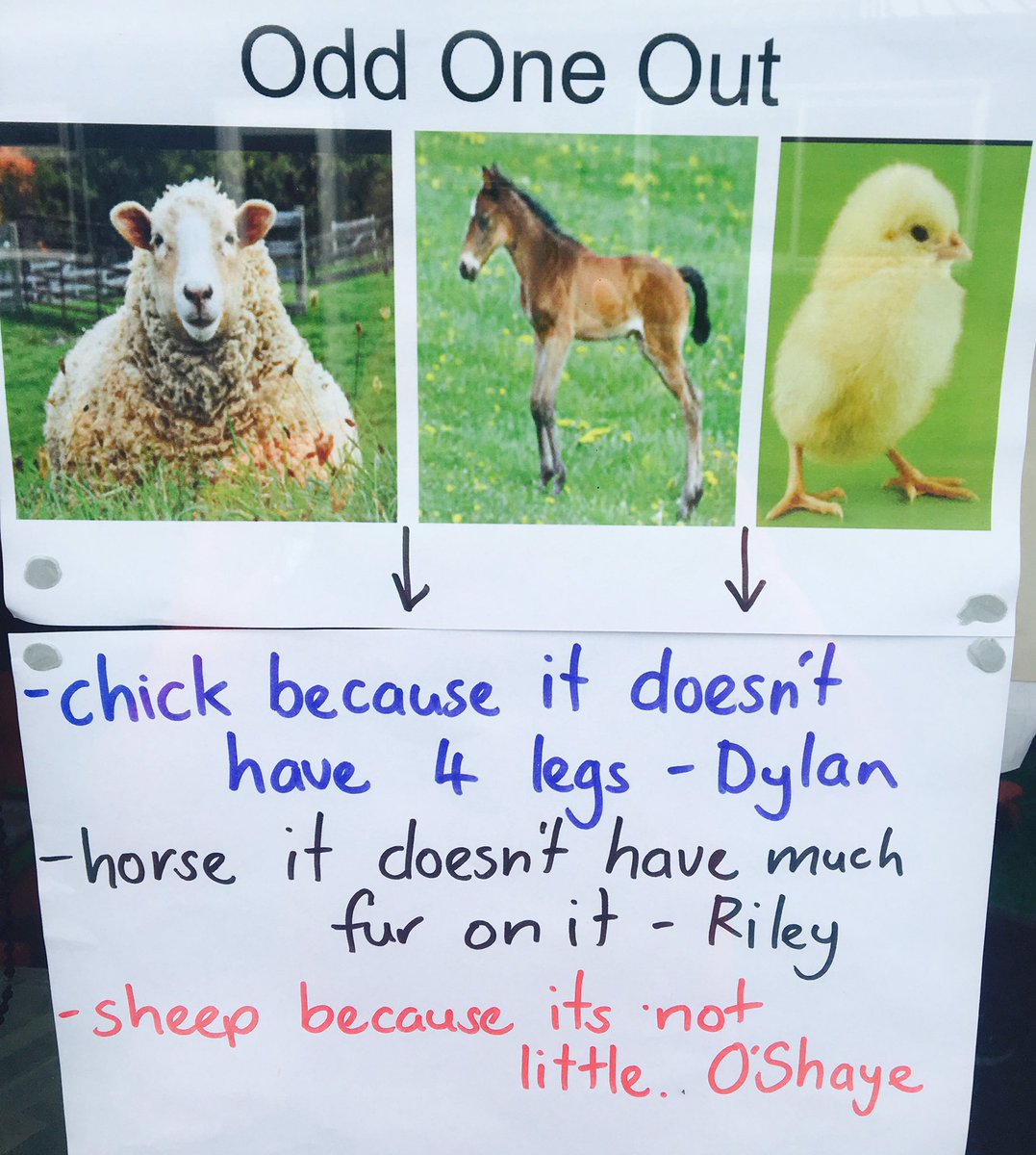 andymunn10's tweet photo. Farm Animals: super higher level thinking by my 5yr olds! Never a wrong answer! Best yet, huge chat! @JepsenBruce @kjinquiry #thinkingtool https://t.co/HVhiDj6Son