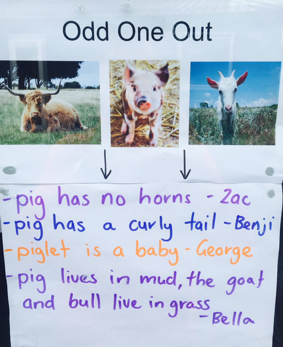 andymunn10's tweet photo. Farm Animals: super higher level thinking by my 5yr olds! Never a wrong answer! Best yet, huge chat! @JepsenBruce @kjinquiry #thinkingtool https://t.co/HVhiDj6Son