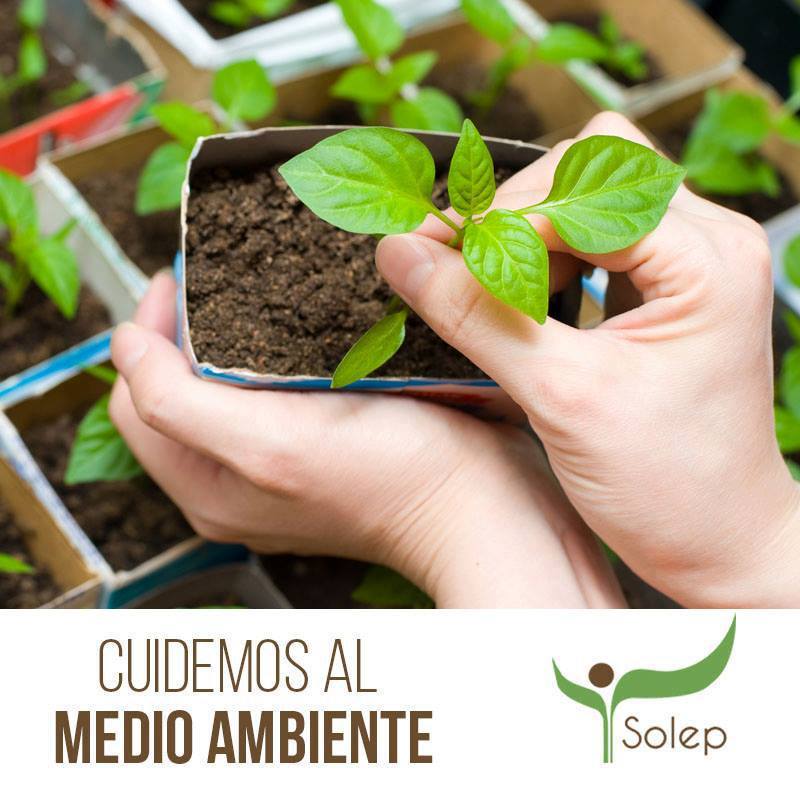 SolepMx's tweet photo. ¿Y tú que le estas dejando a tus hijos? #Solep https://t.co/qvgFOm6Ijd