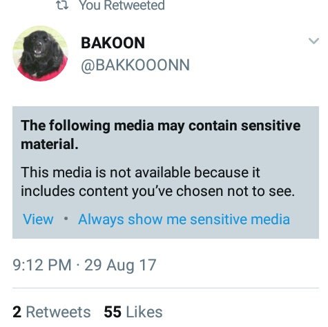 Pixelated_Brain's tweet photo. Always show me sensitive media @BAKKOOONN https://t.co/ilNf2k9ULu