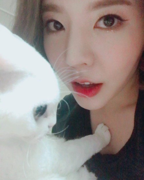 SMTown_SNSD's tweet photo. [Instagram Update] 515sunnyday: 소금이랑 같이 사진 찍고 싶은데 저 앙칼진 앞발을 보라….. 너 진짜... https://t.co/CC6lHnG7JI