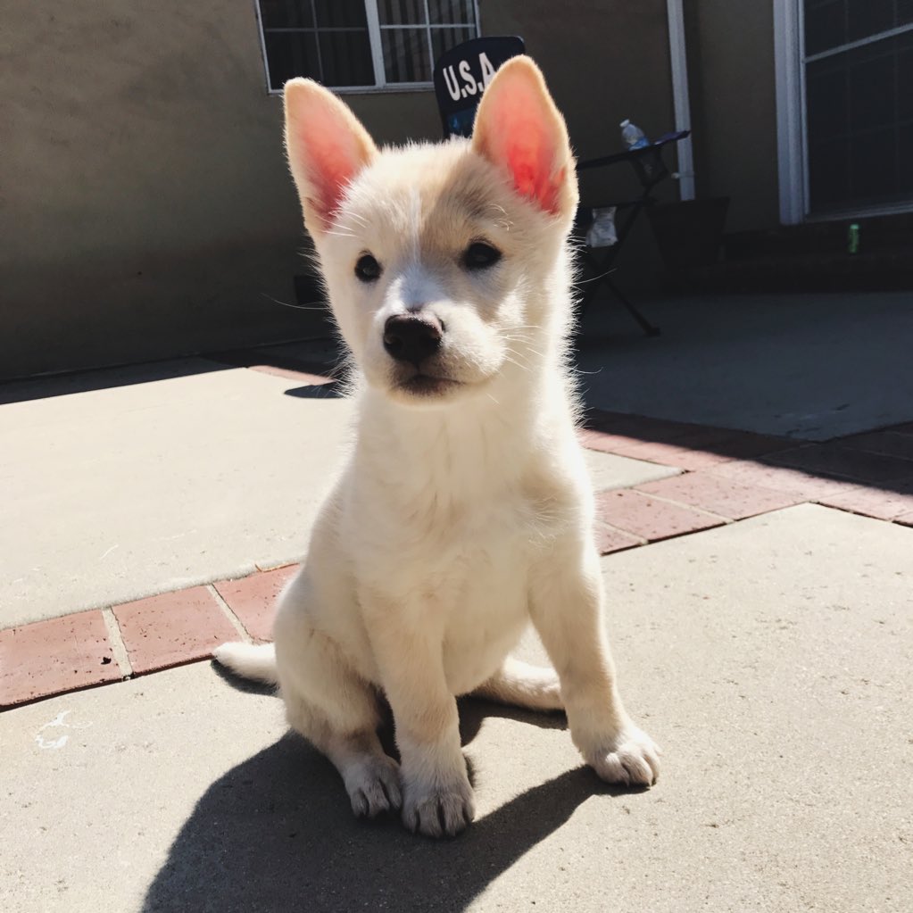 whereslink's tweet photo. #NewProfilePic https://t.co/179rgZDGkj
