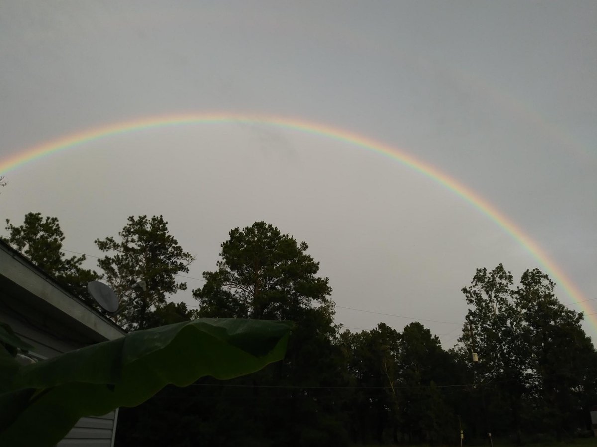 abc13houston's tweet photo. After rain, there's a rainbow! An #ABC13Eyewitness viewer shared this photo with us and we're grateful! https://t.co/PxYA8GVGr4