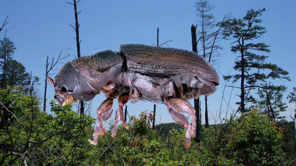 climatehawk1 tweet media