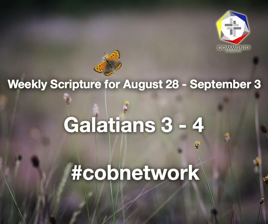 cobnetworkorg tweet picture