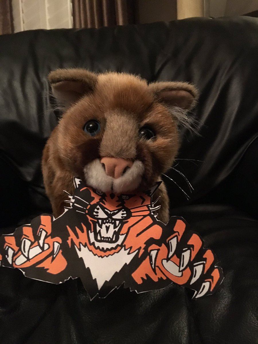 VHSwimDive's tweet photo. Now, less than 24 hours away from LHS vs VHHS!! Callie the Cougar is ready to take on the Wildcats! Are you? #LHSvsVHHS #wildcatspecial ๐ตโช๏ธ๐ https://t.co/wHU3H0zPCv