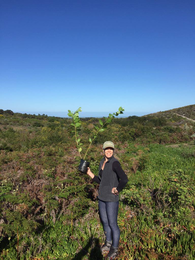 TheFynbosTrail's tweet photo. On a recent hike we planted trees on @Farm_215  as part of the Trees for Tourism program. #reforestation #treesfortourism https://t.co/lrlsEgNwBM