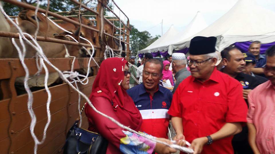 AmranLarut's tweet photo. Majlis penyerahan lembu2 korban.kpd cawangan dan agensi2 kerajaan dalam Parlimen Larut.oleh YB DS @dhzhamzah . https://t.co/UJNgZrVibM