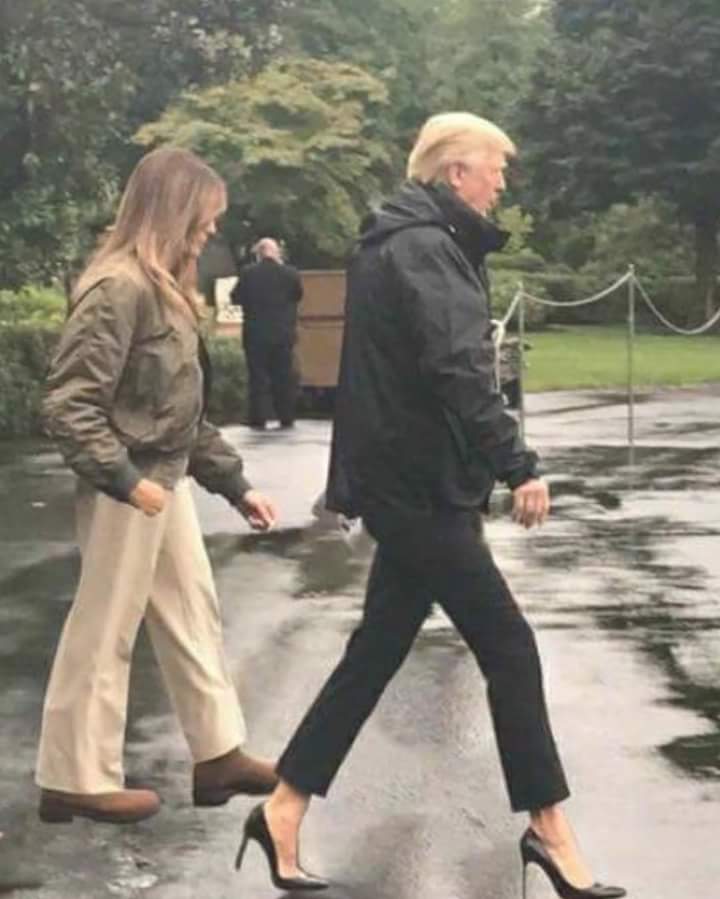 LadyKye56's tweet photo. Lmaooooooooooo #ImpeachTrump #TrumpRussia #TrumpResign #TrumpVsScience #Catwalk huh #AlternativeFacts #Resistance #Resist #Resign smh 😂👎🖕 https://t.co/UXY56QwLoB