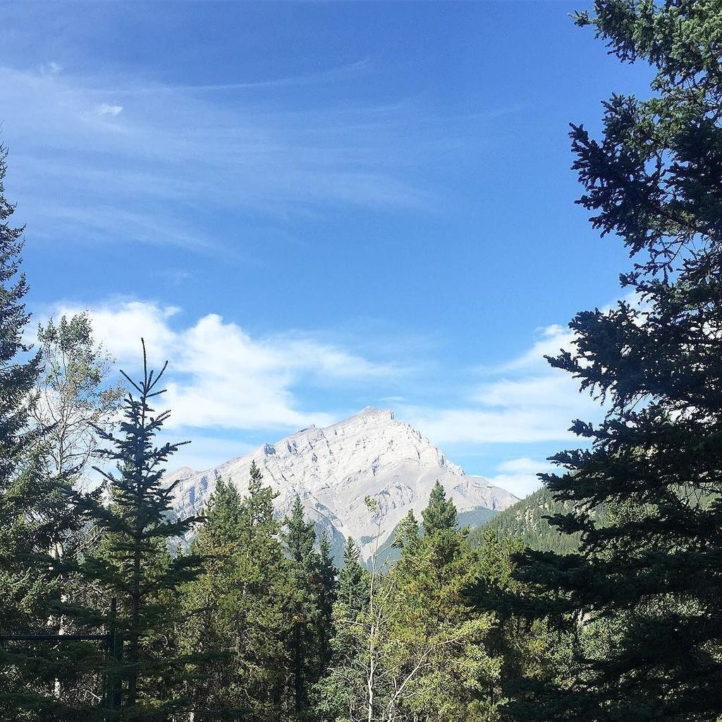 ButterCClothing's tweet photo. Wow, what a wonderful getaway to Banff this weekend for our anniversary! We are back at it and getting our fall li… https://t.co/i0VjBZm7OP https://t.co/8HAtCXgDuA
