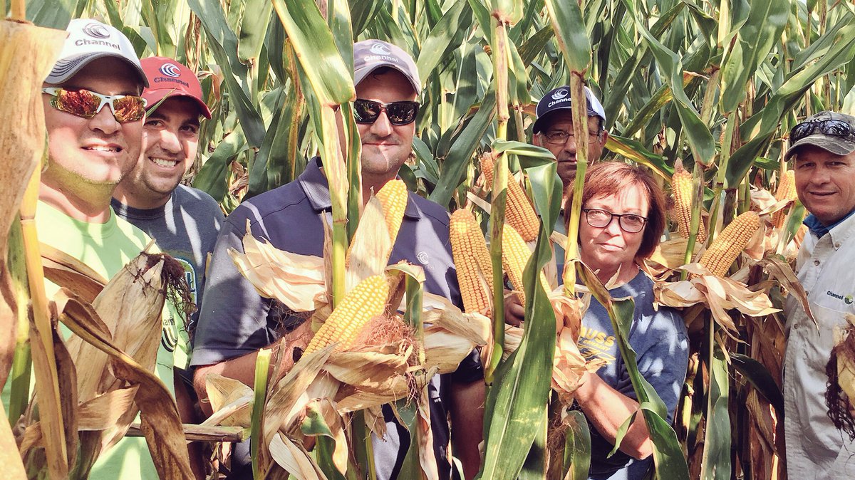 Agronomist_Whit's tweet photo. Touring plots in KY evaluating 🌽👂🏼's, stalks, &amp; late season staygreen w/@pj_milburn @Shirely_Payne_ @GregWseedsman @hodges5point https://t.co/eUAphYyGrL