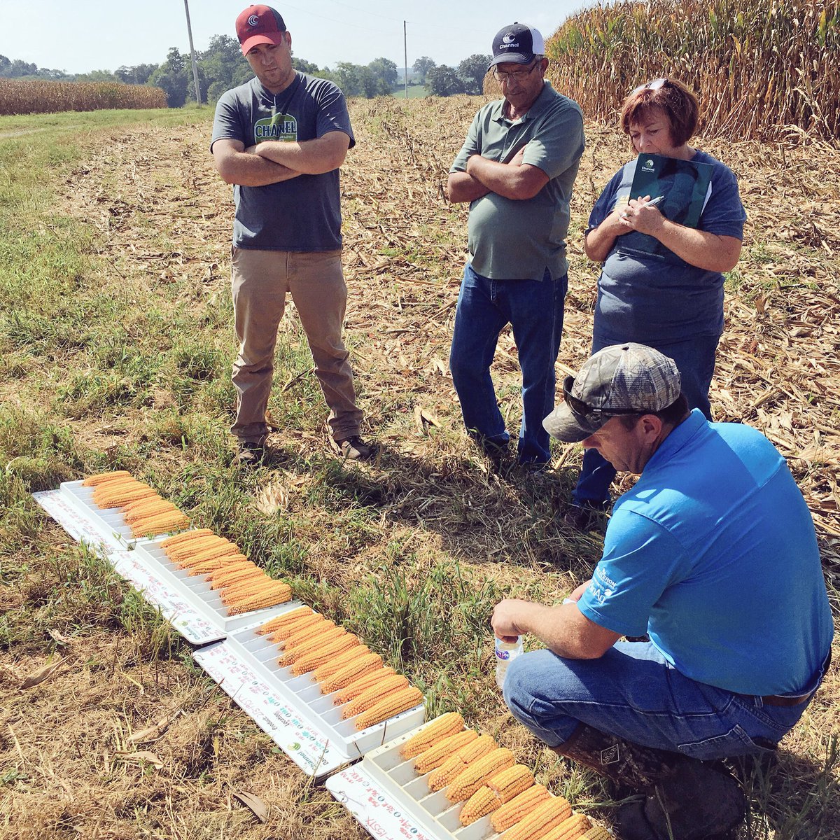 Agronomist_Whit's tweet photo. Touring plots in KY evaluating 🌽👂🏼's, stalks, &amp; late season staygreen w/@pj_milburn @Shirely_Payne_ @GregWseedsman @hodges5point https://t.co/eUAphYyGrL