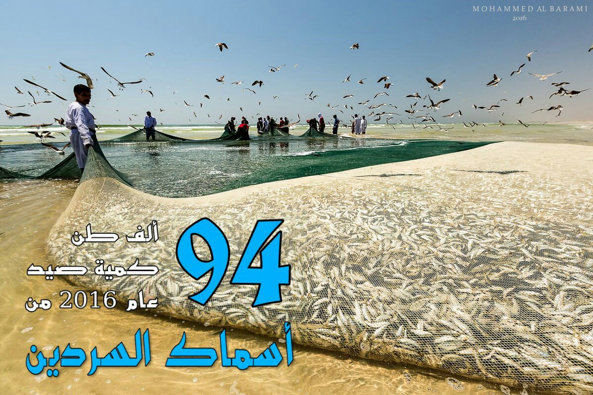 OmanData بيانات عمان (@omandata) on Twitter photo 94 ألف طن كمية صيد اسماك السردين في السلطنة عام 2016
تصوير/ محمد البرعمي <a href="/mmAlbarami/">محمد البرعمي (باحث مناخي)</a>
#الثروة_السمكية
#بيانات_عمان
#سلطنة_عمان 94 ألف طن كمية صيد اسماك السردين في السلطنة عام 2016
تصوير/ محمد البرعمي <a href="/mmAlbarami/">محمد البرعمي (باحث مناخي)</a>
#الثروة_السمكية
#بيانات_عمان
#سلطنة_عمان