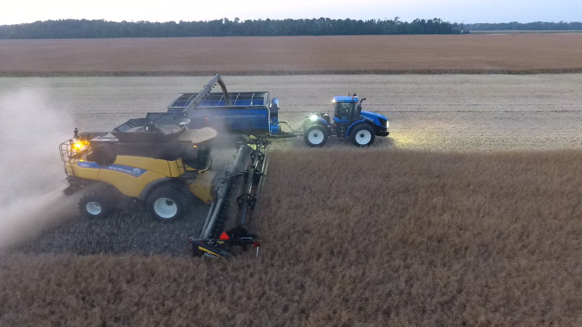 jacobnw_90's tweet photo. #harvest17 #L140P #macdon @NHAgriculture @Bayer4CropsCA https://t.co/sU2lqSWSc5