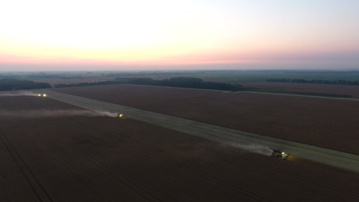 jacobnw_90's tweet photo. #harvest17 #L140P #macdon @NHAgriculture @Bayer4CropsCA https://t.co/LmAWYFajHb